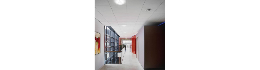 Suspended Ceilings